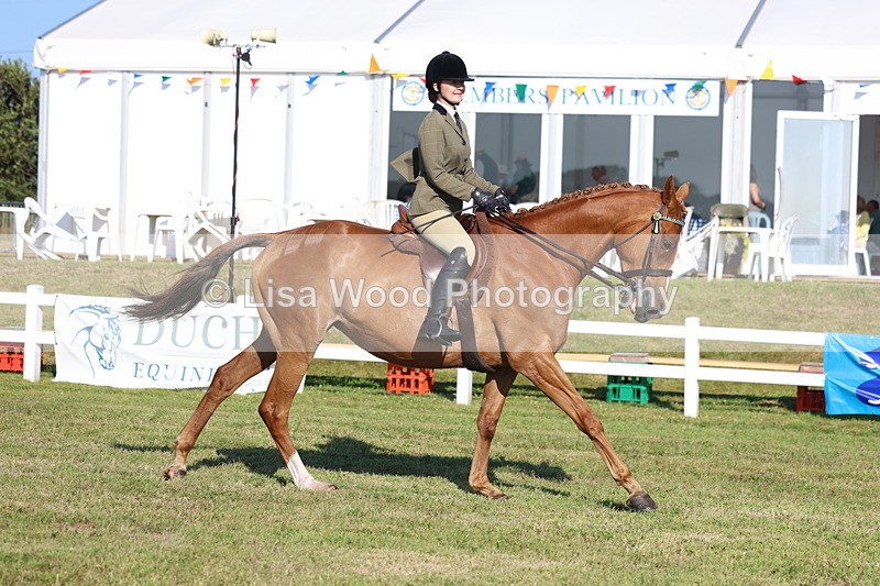 3E7A5297 - Class 2: Rising Star Large Hack/Riding Horse