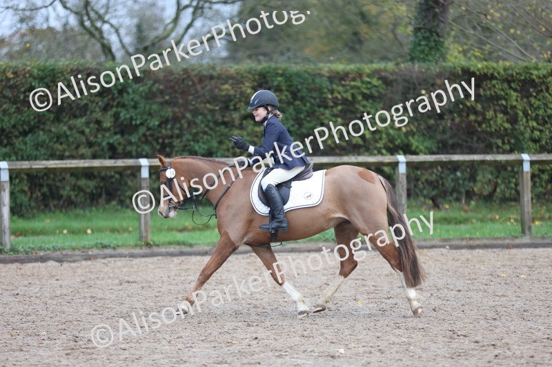 20251116-0084 - Class 1 - 60cm