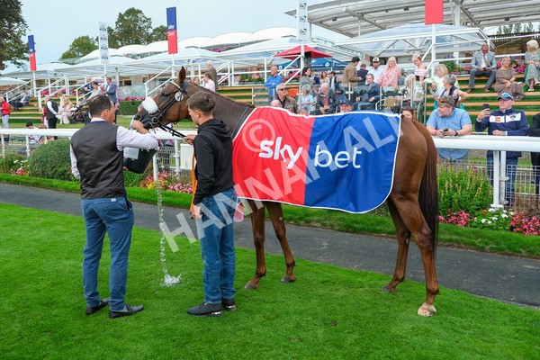 080925-Race 3-Rock N Roll Pinkie-8699 - Race 3 3.30pm Skybet Proud To Support ROR Stayers Handicap
