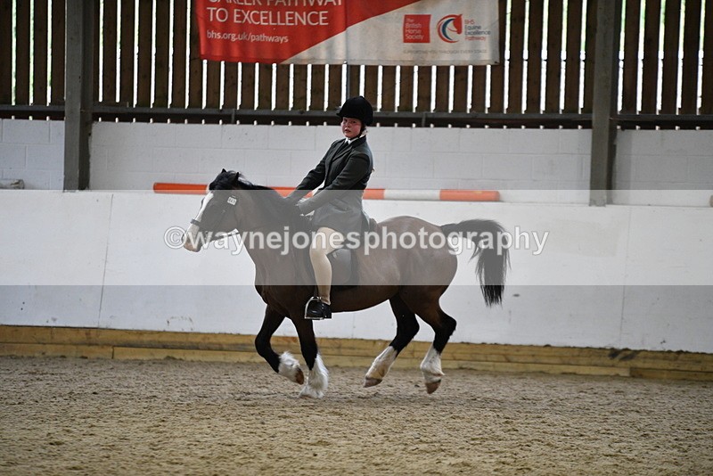 WJ5_7236 - Class 11 Ridden PC - RC Pony