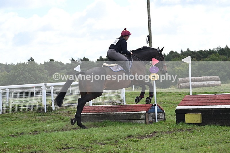 WJ7_9983 - Time 11:02 to 11:34