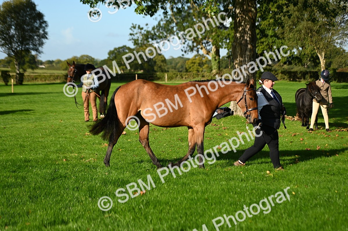 SBM_14785 - S1 - TSR in Hand Horse & Pony Showing