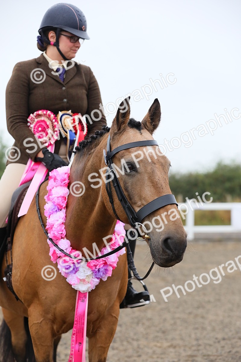 SBM_19962 - Class 801 - Ridden Veteran