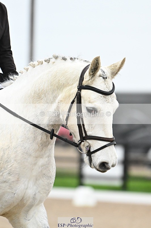 241103-110506-00433 - Intro 3 - 10.50 to 11.44