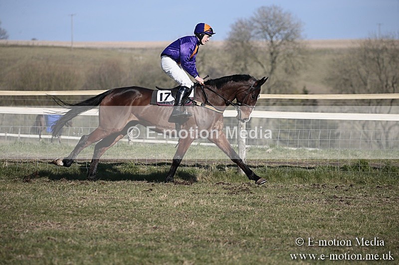 PtP 240218 334 - Vine & Craven Hunt Point-to-Point Barbury racecourse 24/02/18