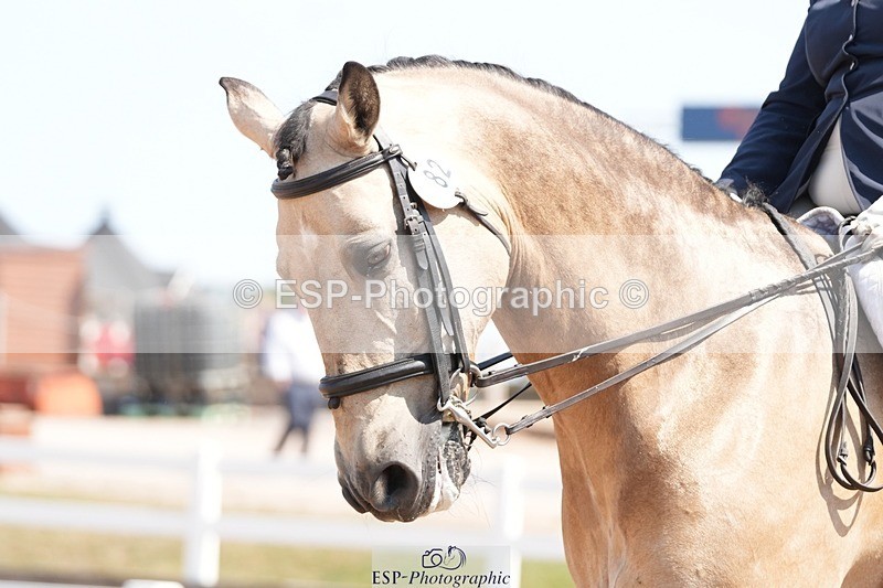 250817-130752-09241 - 082-Sarah.DavisWinston.Classic.Gold