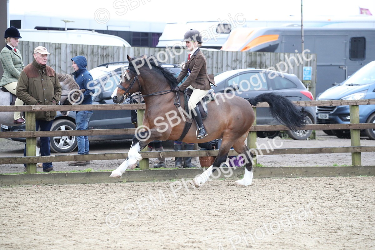 SBM_007102 - Class 10-13 - RIHS Small Large Breeds