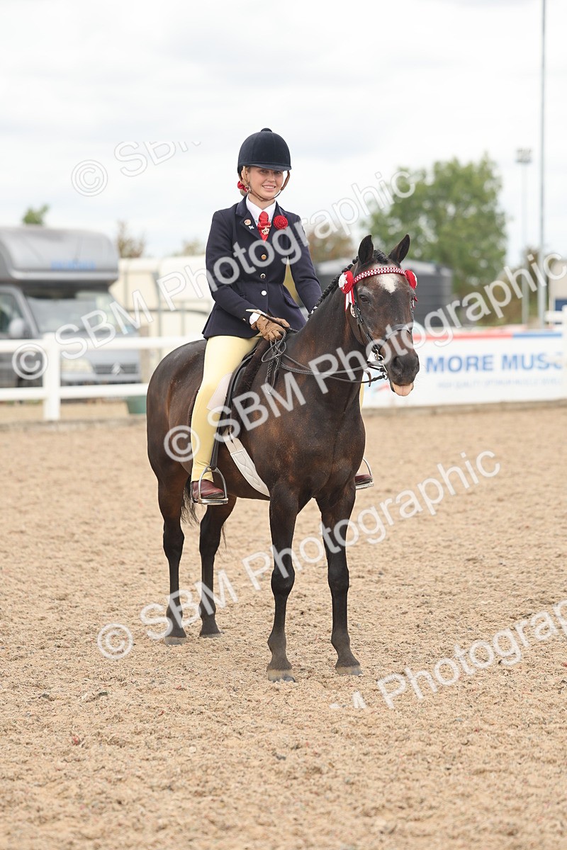 SBM_16041 - Class 311 - Ridden Show pony-Show hunter Pony