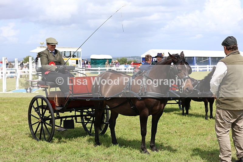 3E7A2813 - Class 12: Open Driving