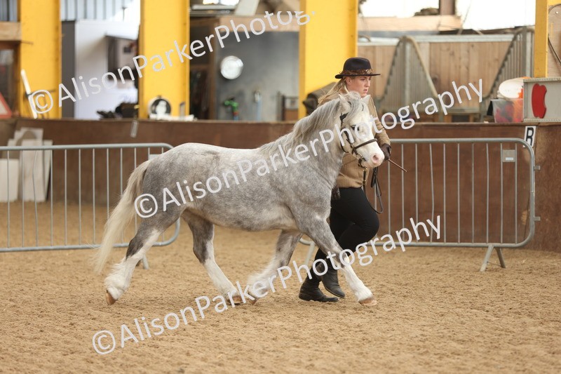 20251109-0606 - Class 22 - Geldings 4 Years and over