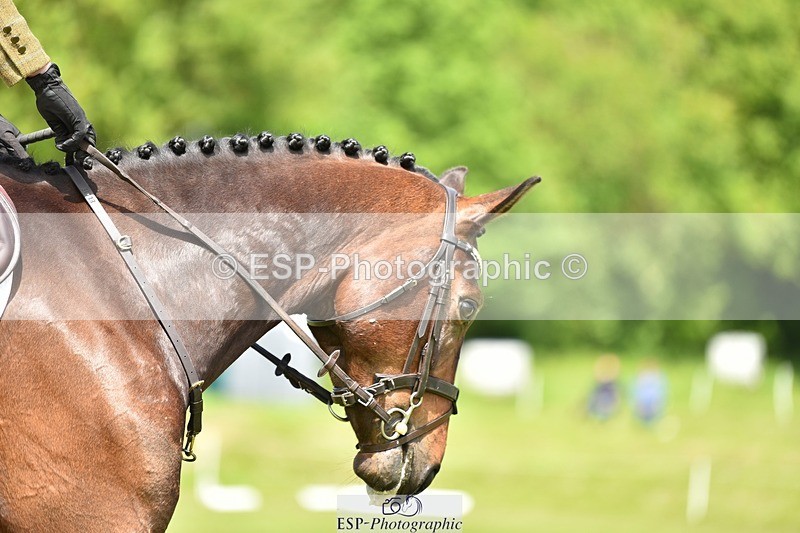 240523B-131832-02370 - 5 Year Old