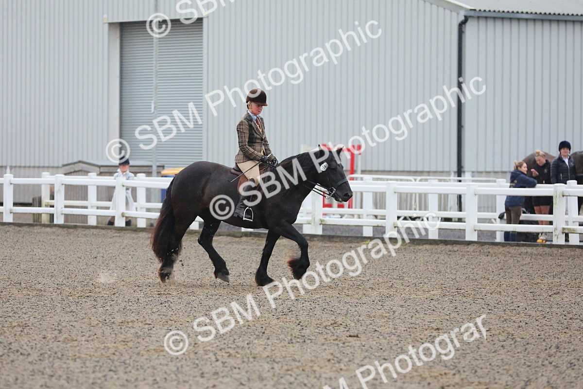 SBM_19881 - Class 801 - Ridden Veteran