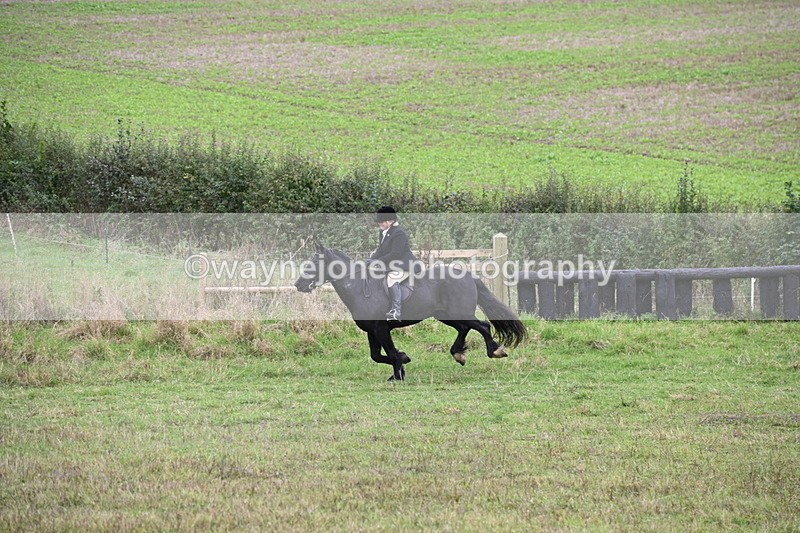 WJ6_1217 - Camera 2 Line 2