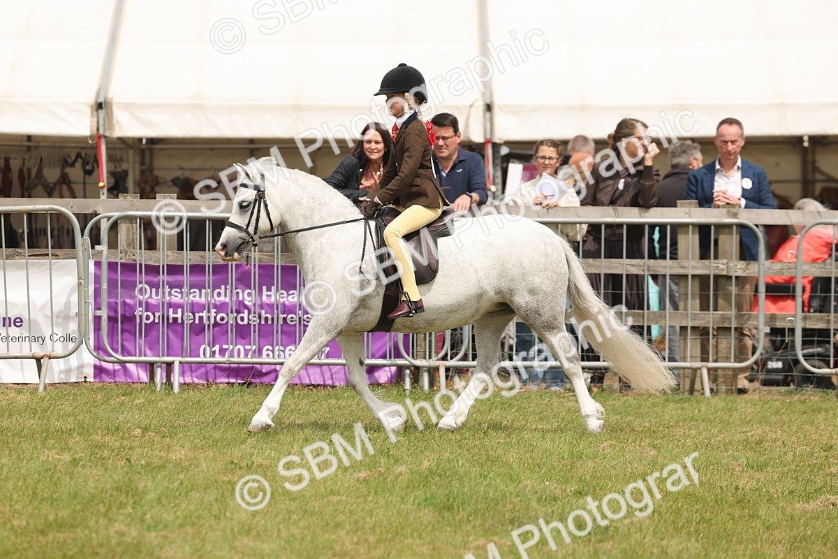 SBM_06878 - Class 74-75 - M&M Lead Rein and First Ridden Pony