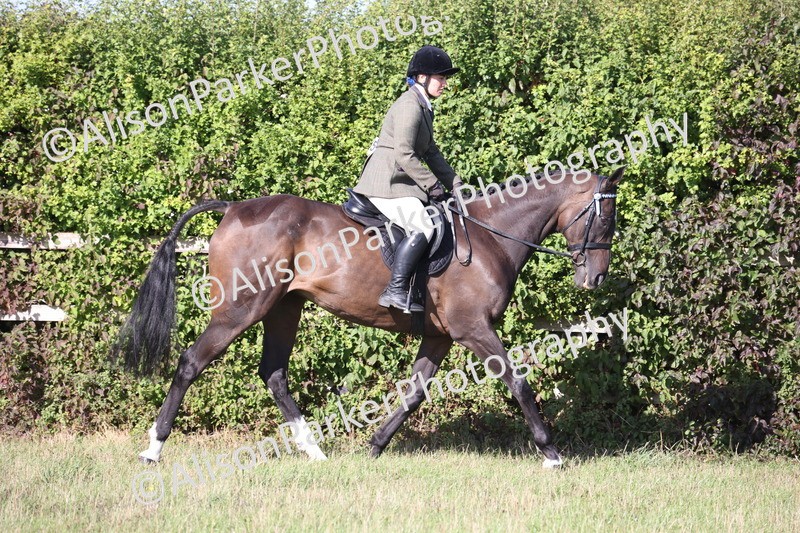 20260906-0402 - Class 14 - Ex Racehorse