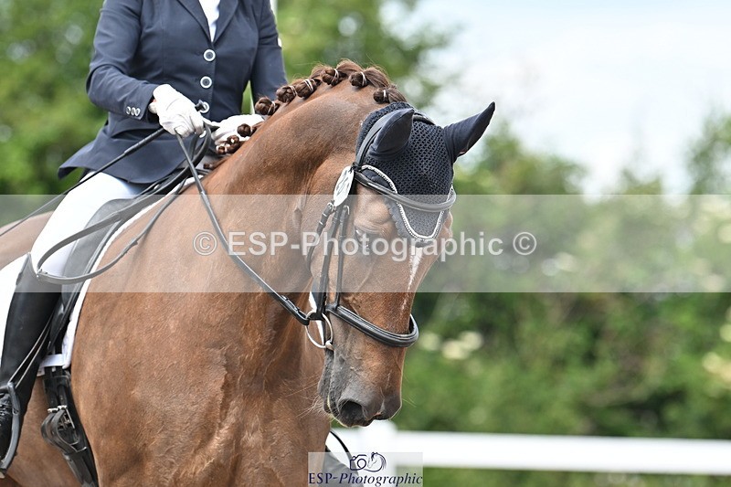 240621A-121930-02096 - Cls 7 BD Elementary 45