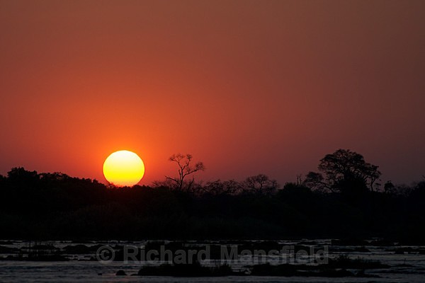  - African Journey