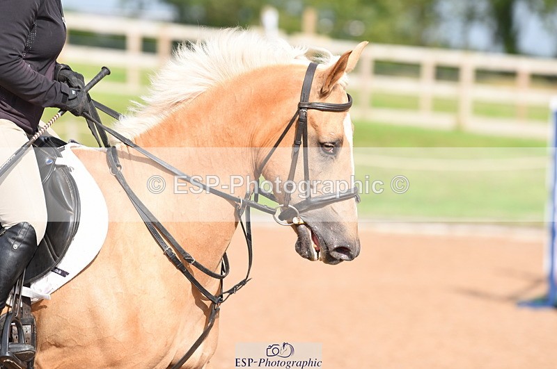 230711A-173056-00273 - 80cm