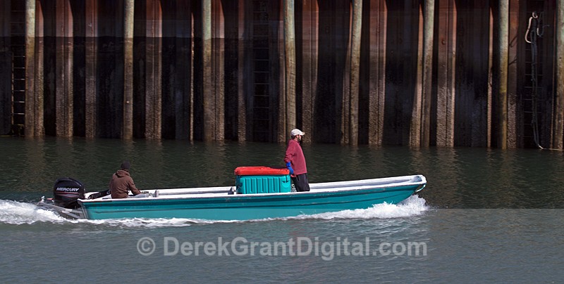 Boat at Seal Cove Grand Manan - Fundy Postcards