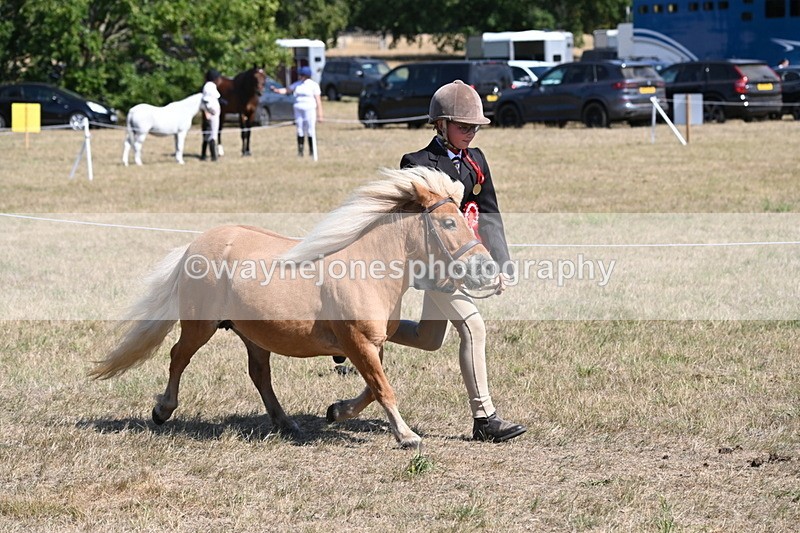 WJ6_9211 - Championship Classes 33-38