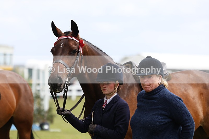 3E7A1064 - Class 8: Open Riding Horse/Hack