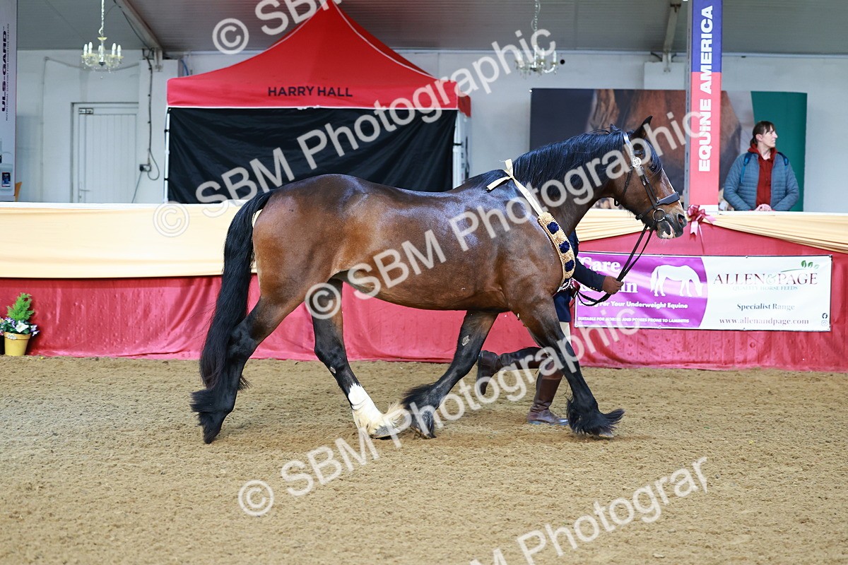 SBM_21949 - Class 901 - Supreme Final - IH  Diamond