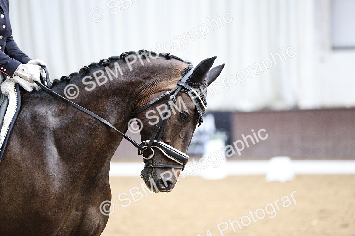 SBM_001718 - Class 7 - Elementary 5