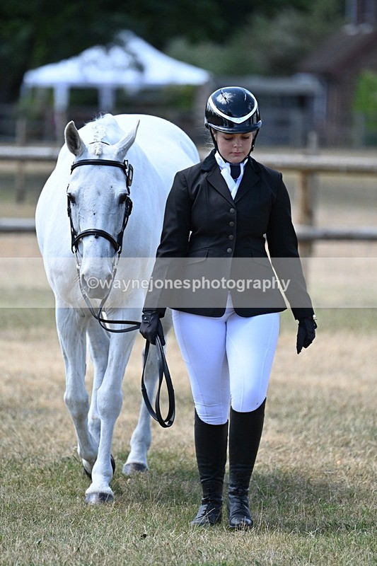 WJ7_2304 - Class 5a Most Handsome Gelding in hand (above 14.2hh)
