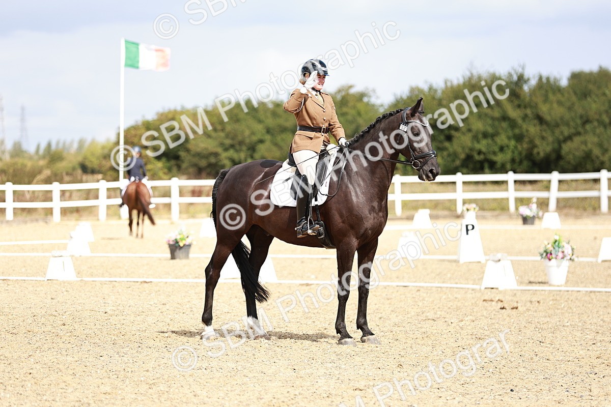 SBM_004217