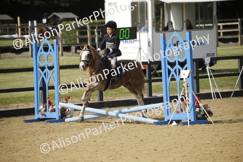 20250622-1565 - 40cm