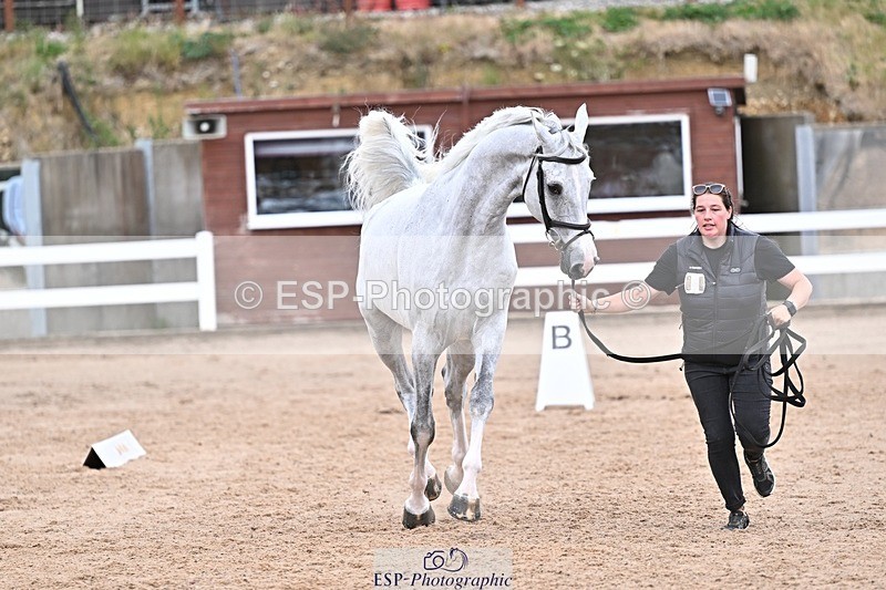 250716-164834-00774 - Trot Up 4.30 to 5.00