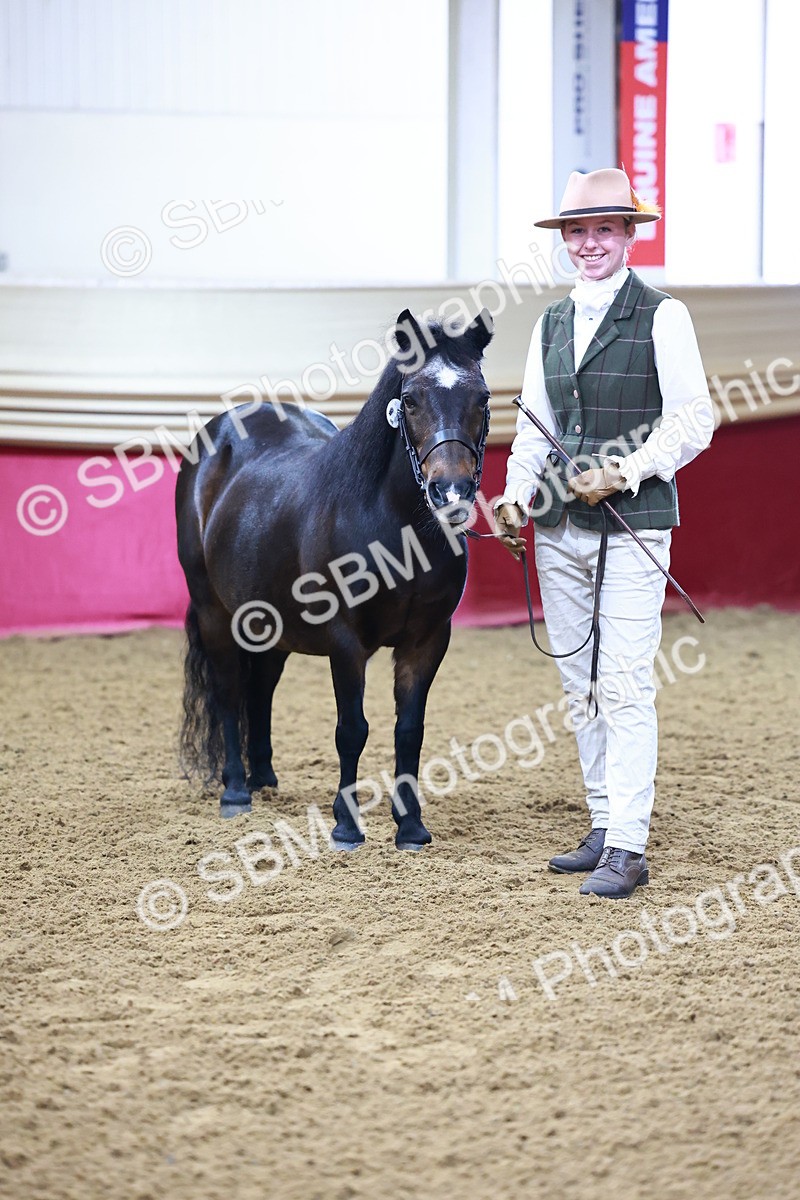 SBM_21825 - Class 901 - Supreme Final - IH  Diamond