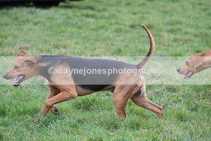 WJ7_7622 - Meet
