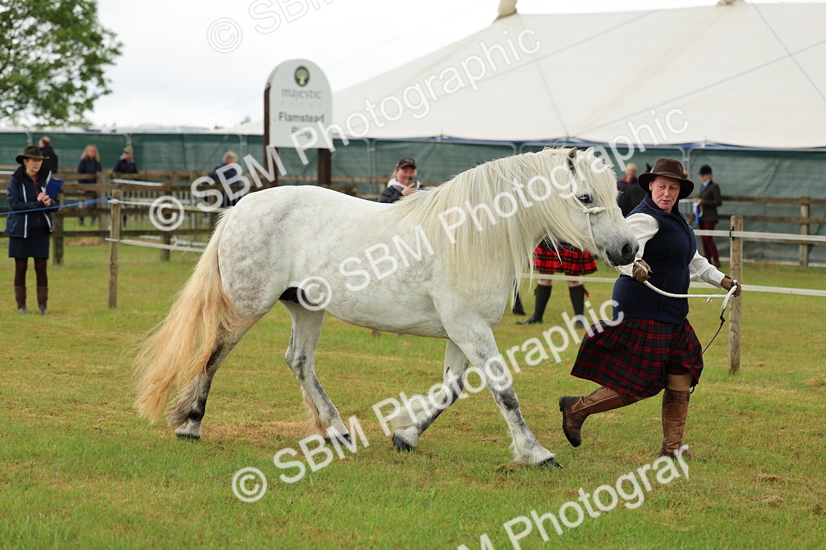 SBM_00490 - Class 58-67 - M&M Non Welsh Pony In hand