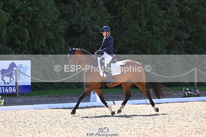 240809-111259-00528 - 133-Dawn.Bear-First.Taylor.Made