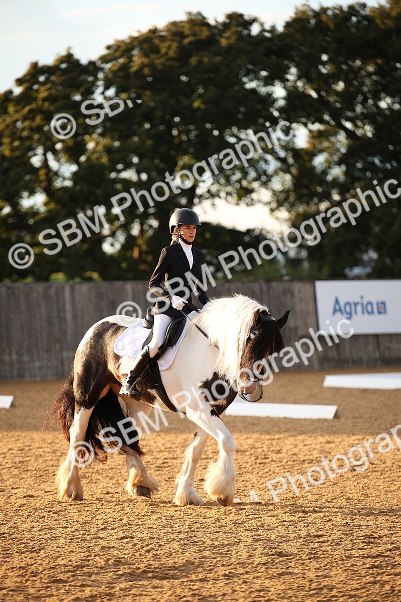 SBM_13319 - D3 Small  Tour Championship Intro A