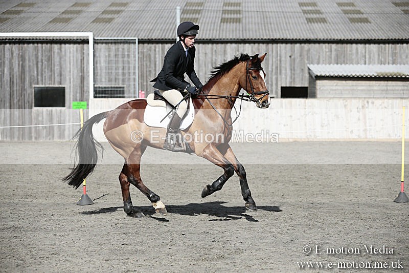 BVRC SJ 170319 492 - Bourne Valley Riding Club Showjumping 17/03/19