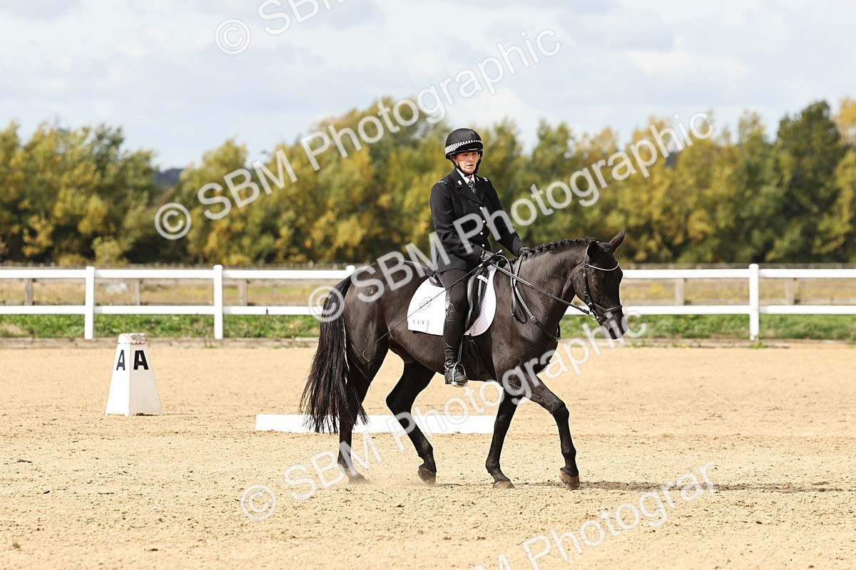 SBM_004696 - Class 69 - Novice 2