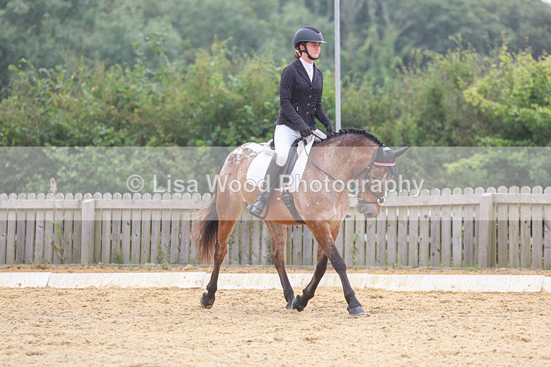 3E7A5384 - Class 2: Intro 4 2024 section B