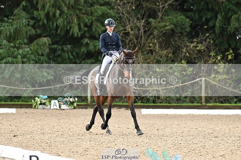 251023A-104447-01528 - B-131-Gemma.Gurvidi