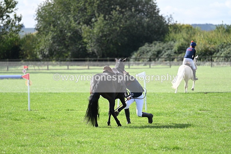 WJ7_8551 - 60cm Pairs