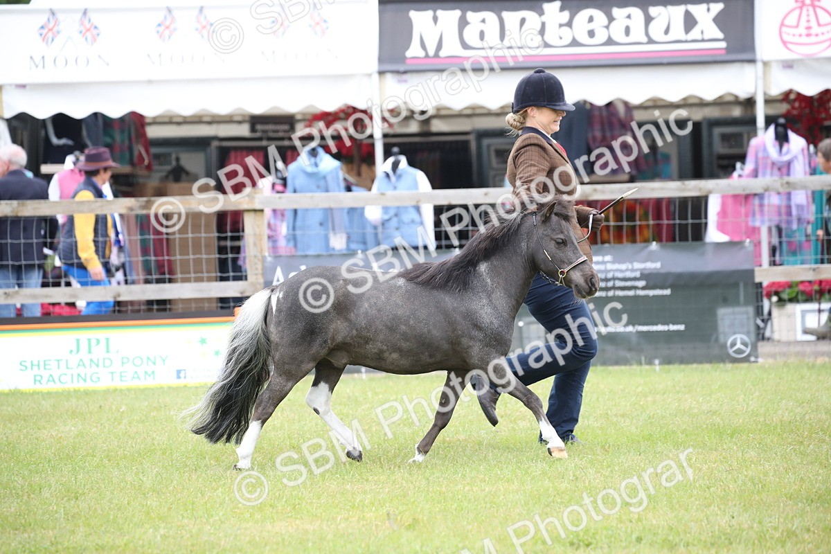 SBM_03924 - Class 23-25 - British Miniature Horse of the Year