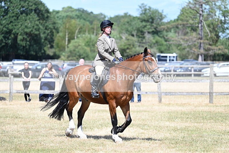 WJ7_3459 - Class 8 Ridden Veterans