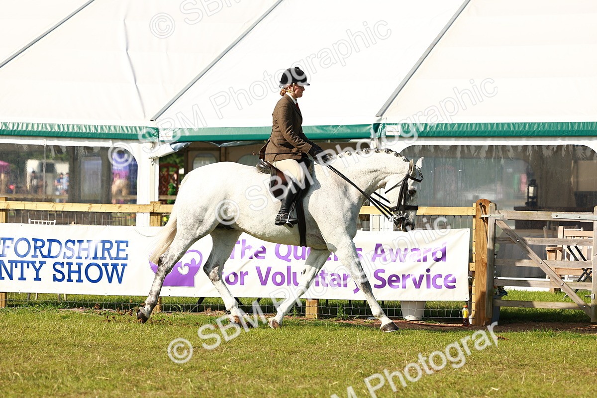 SBM_10875 - Class 66-69 - RIHS Ridden Hunters Inc Small Hunter