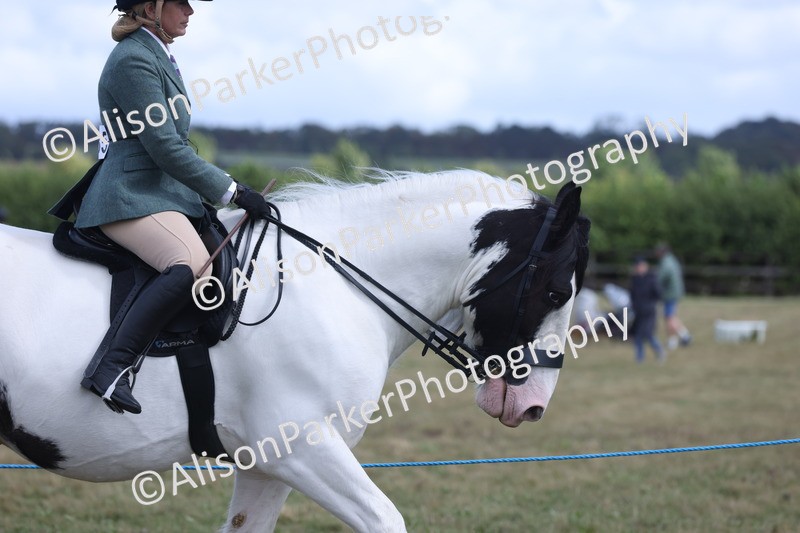 20250831-4192 - Class 20 - Ridden Coloured