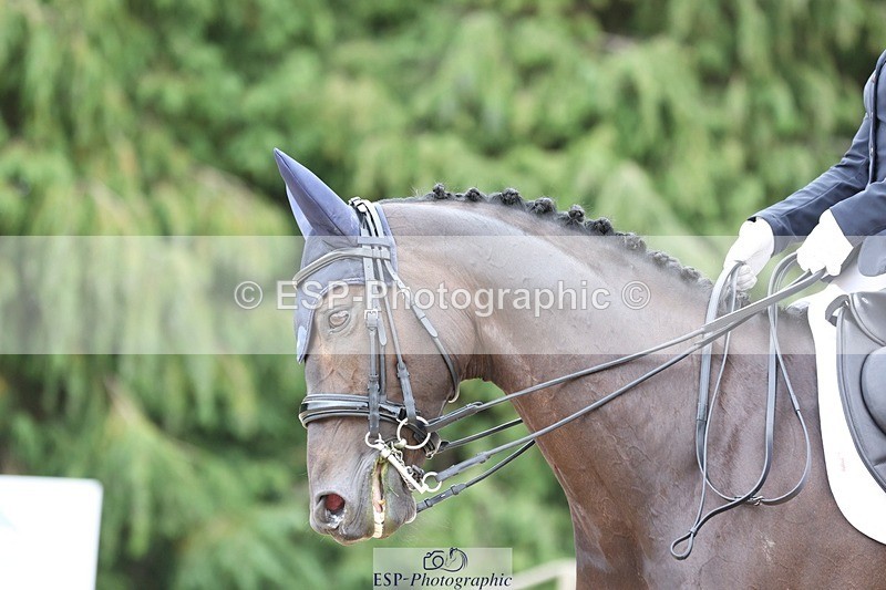 230813-154439-08135 - Cls 11 Elem Bronze 14.30 to End