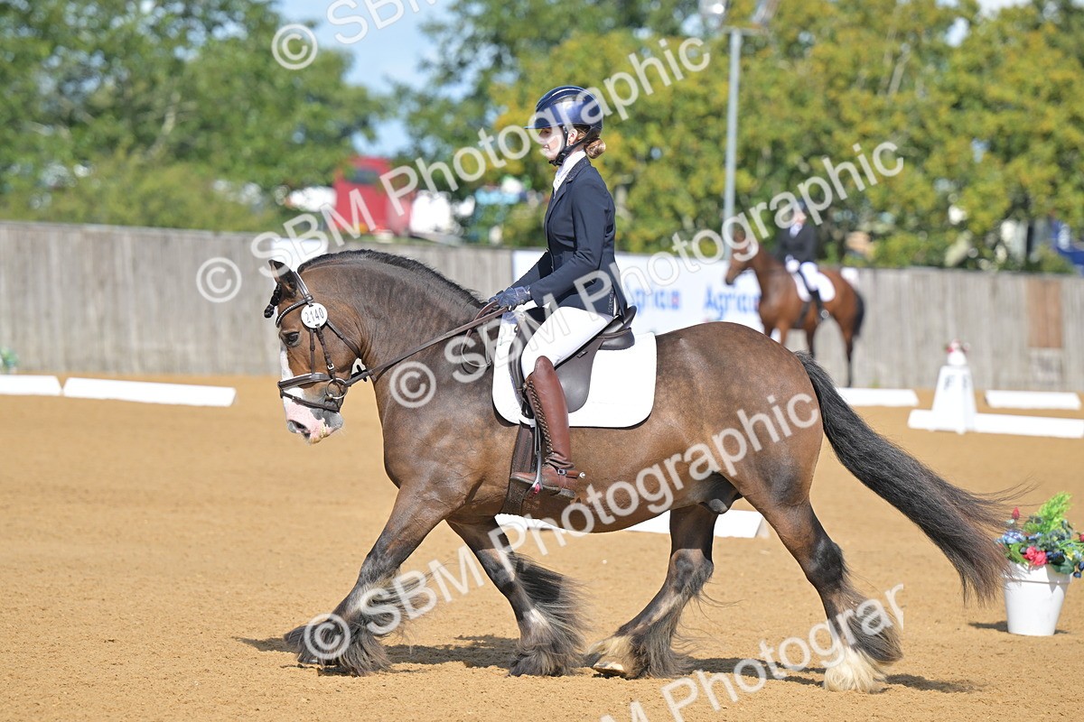 SBM_03937 - D2 - Small Tour Championship Intro 2