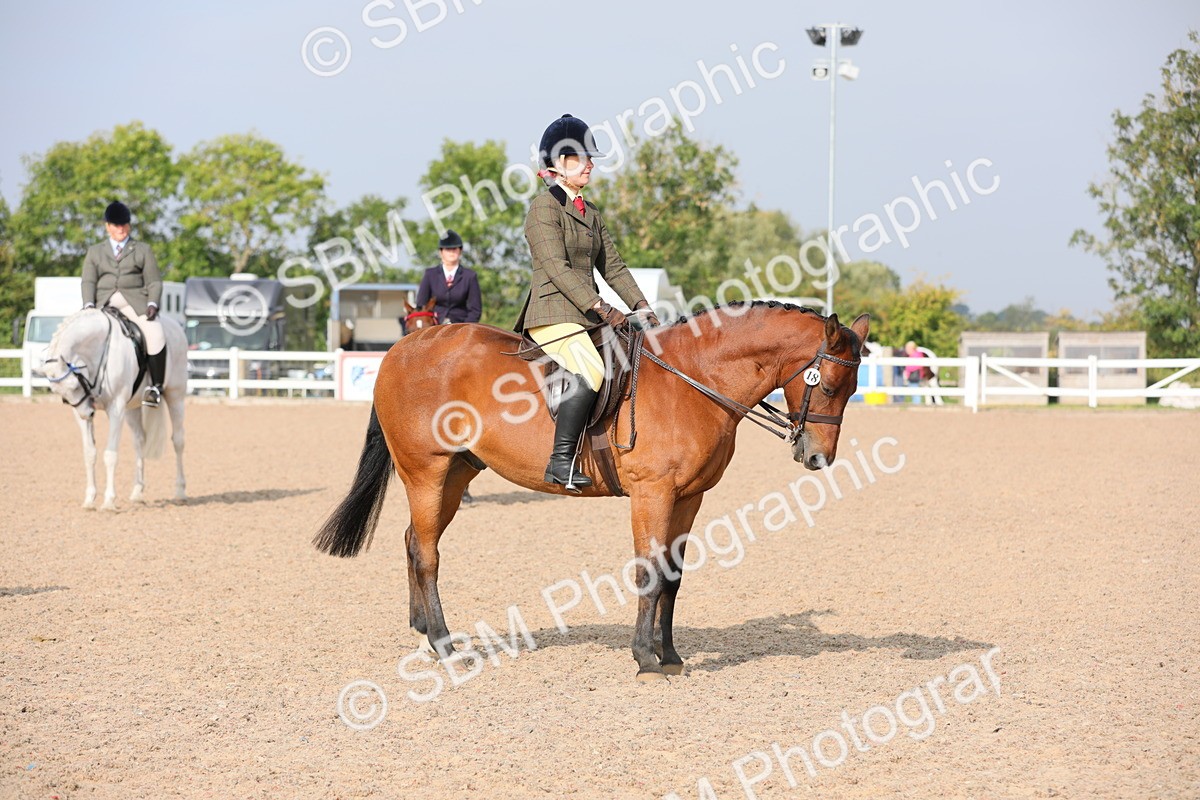 SBM_10907 - Class 304 Ridden Part Bred Horse/Pony