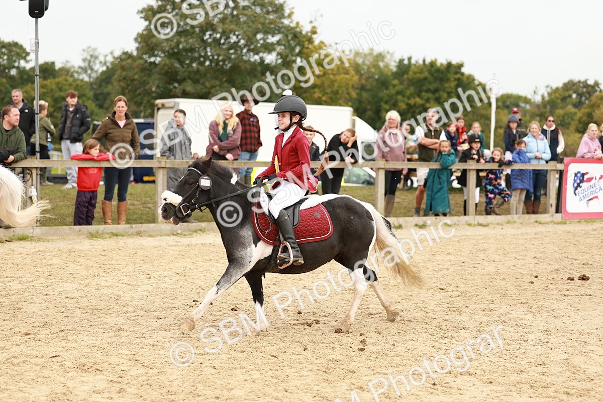 SBM_58140 - J11 - Junior Pony 50cm Championship
