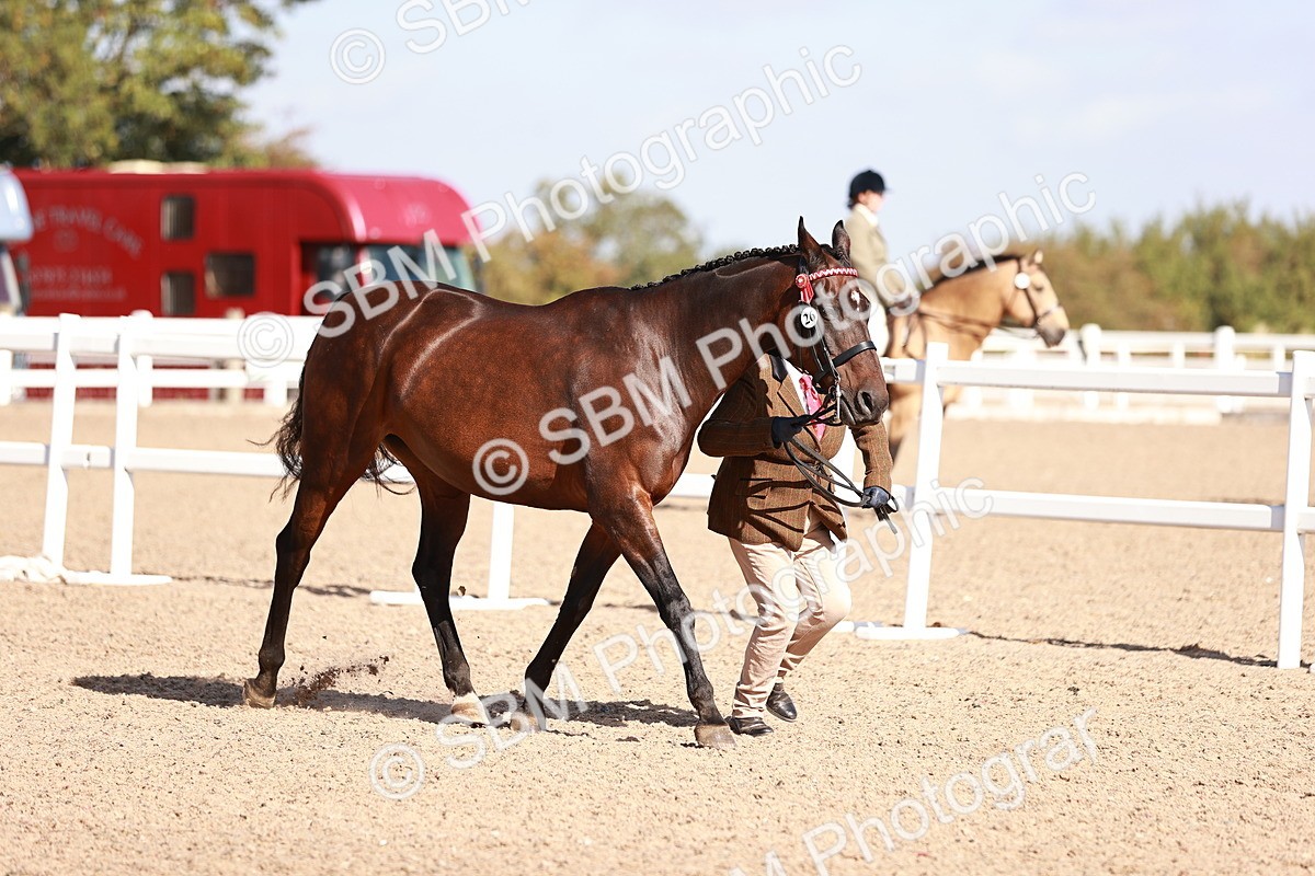 SBM_22771 - Class 705 - IH Combination 65+